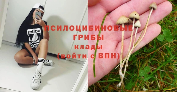 тгк Каменногорск